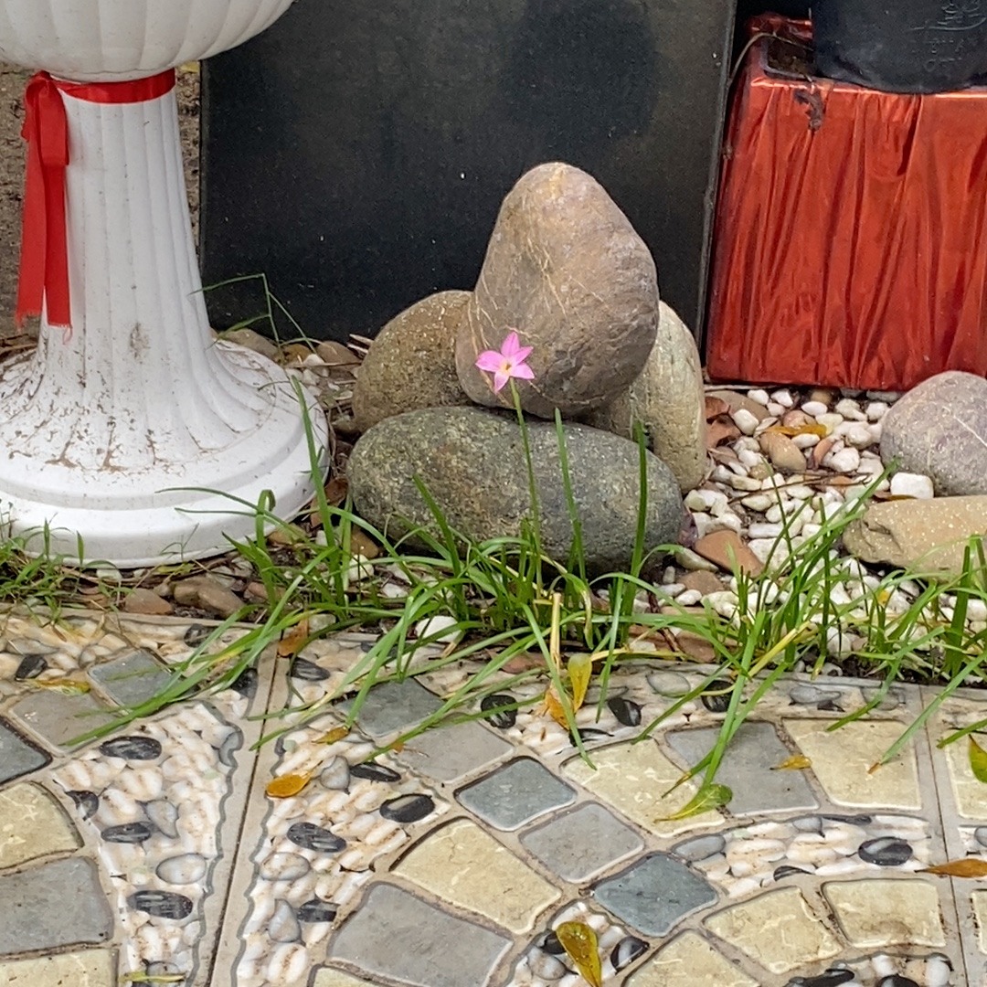 Stream Lil Liem ft. BIG WIND - em đi đi by nho e | Listen online for ...