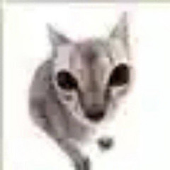 :3