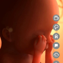 Dj.DamianR - Week sixteen