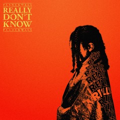PlanckWall - Really Don't Know -