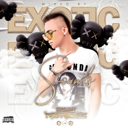EXOTIC SOUNDS (DAVID RODRIGUEZ 2020)