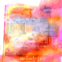 FLIGHT STATE. [BIRTHDAY (DIRECT) FREEBIE]