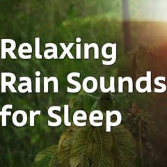 Tropical Rain Sound - Calm Rain Sound With Thunder And Binaural Relaxing Music