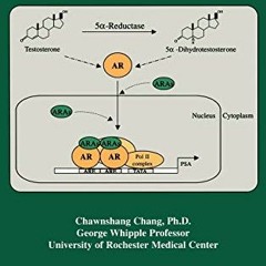 [Get] PDF 🎯 Androgens and Androgen Receptor: Mechanisms, Functions, and Clini Applic