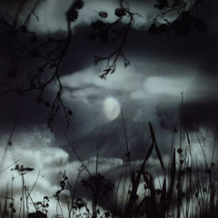 Spawn Moon