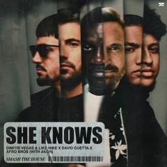 Dimitri Vegas & Like Mike, David Guetta, Afro Bros - She Knows (with Akon)