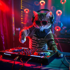 MANYAO ELECTRO MIX EXCLUSIVE REQ MICH LIM