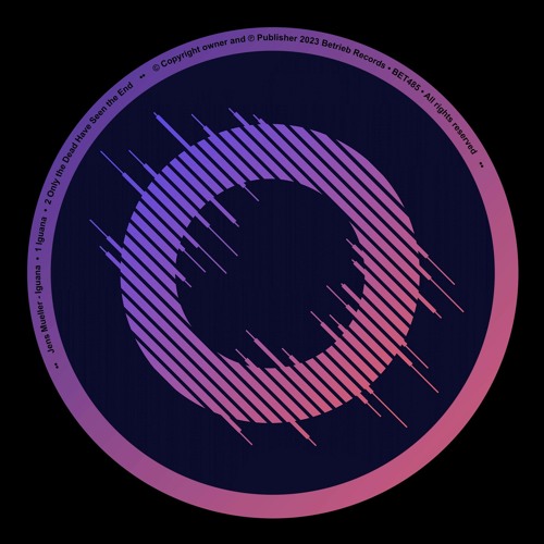 Jens Mueller - Iguana (Original Mix)