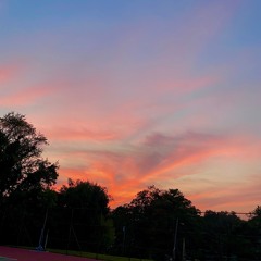 Speechless - Dan + Shay (Cover by Alyssa)