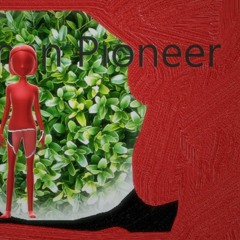 Pioneer Woman
