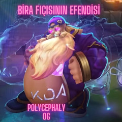 Bira Fıçısının Efendisi