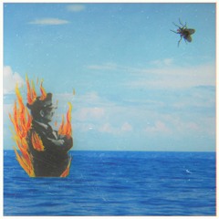 La Neda Viverata presenta Incendios