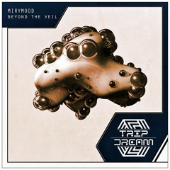 Mirymood - Chrono Glide (Radio Edit)