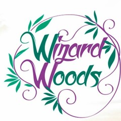 30.07.2016 Dan Chi @ WizardWoods (FREE DOWNLOAD)