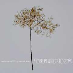 a corrupt world's blossoms (naviarhaiku571)