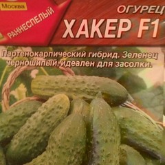 идеальная засолка