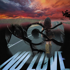 NO LOVE (Instrumental, Alpha Sky Remix)