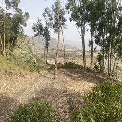 Teddy Afro - Musika Hiwote Slowed Reverb