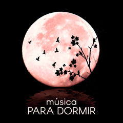 Musica para Dormir (Sonidos de la Naturaleza)