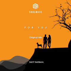 Davit Barqaia - For You (Original Mix)