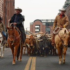 Bulls on Parade (Two A Day Dre Drum and Bass Remix)