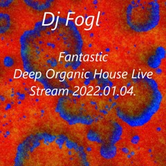 Dj Fogl- Fantastic Deep Organic House Live Stream 2022.01.04.