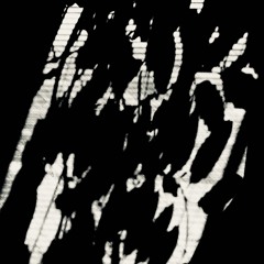 Caval - Conversation with a shadow