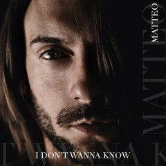 I Don't Wanna Know (Mario Winans cover)