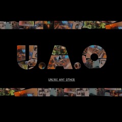 U.A.O. Instrumentals - Japanese Jazz Flute (Produced By Unlike Any Other Records)