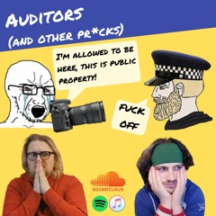 Episode 31 - Auditors (and Other Pricks)