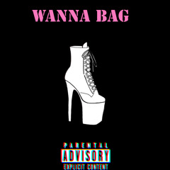 Wanna bag (fastt)