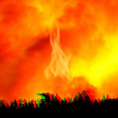 Wildfire