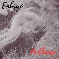 Embryo