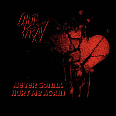 Chub Kray - Never Gonna Hurt Me Again