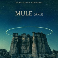 MULE (arg) - Exclusive Mix For Begreen - October 2024 🐆🌴