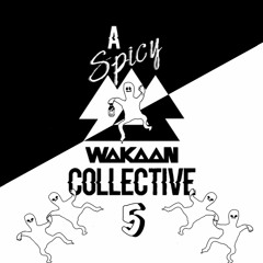 A Spicy Wakaan Collective 5