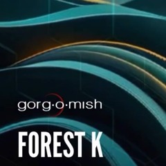 Forest K live @ Gorgomish July 2024 pt1