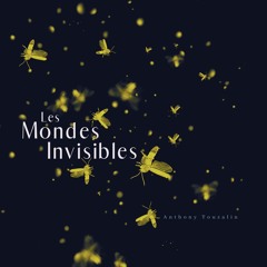 Les mondes invisibles