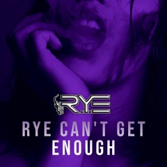 THE R.Y.E - RYE CAN'T GET ENOUGH (SAMPLE)