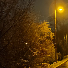 fsq1 30062025