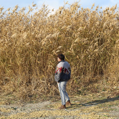 Günel - Didem(Ökdremix)