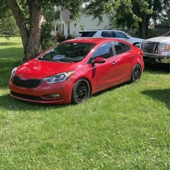 Cruise