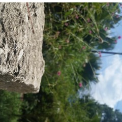 MACDAYZ - I USED TO...  5