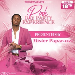 The Pink Day Party Experience Promo CD