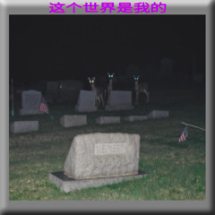 cemetx_86n [77yolan style]