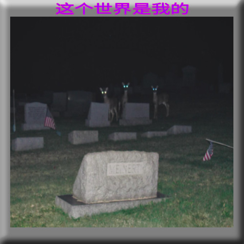 cemetx_86n [77yolan style]