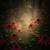 Artwork for 204 — Piano — OEP