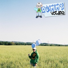 Lana Del Rey- Voidie