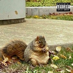 ja$0n, Matty - Real Anrchie