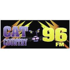 WCTO (Cat Country 96) - Reelworld - 2006 (Custom)